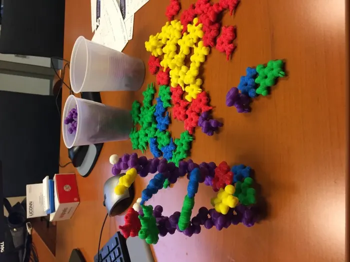 3d printed dna rna molecule