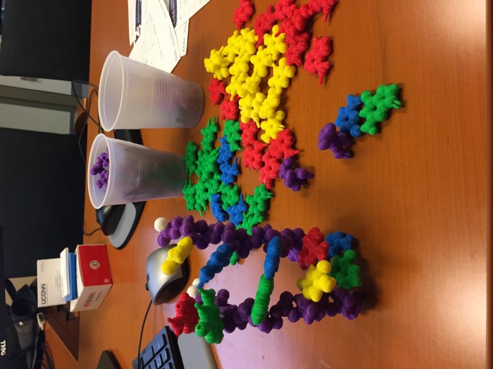 3d printed dna rna molecule