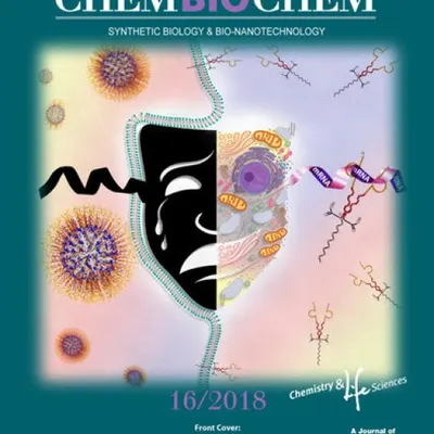 rouge lab chembiochem cover