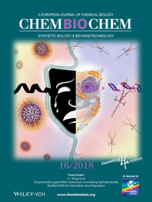 rouge lab chembiochem cover