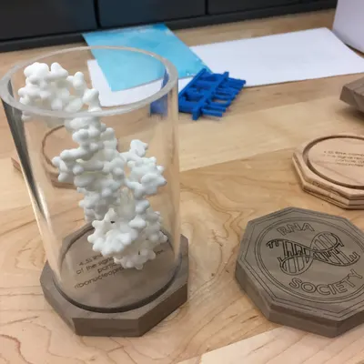 uconn rna society gift