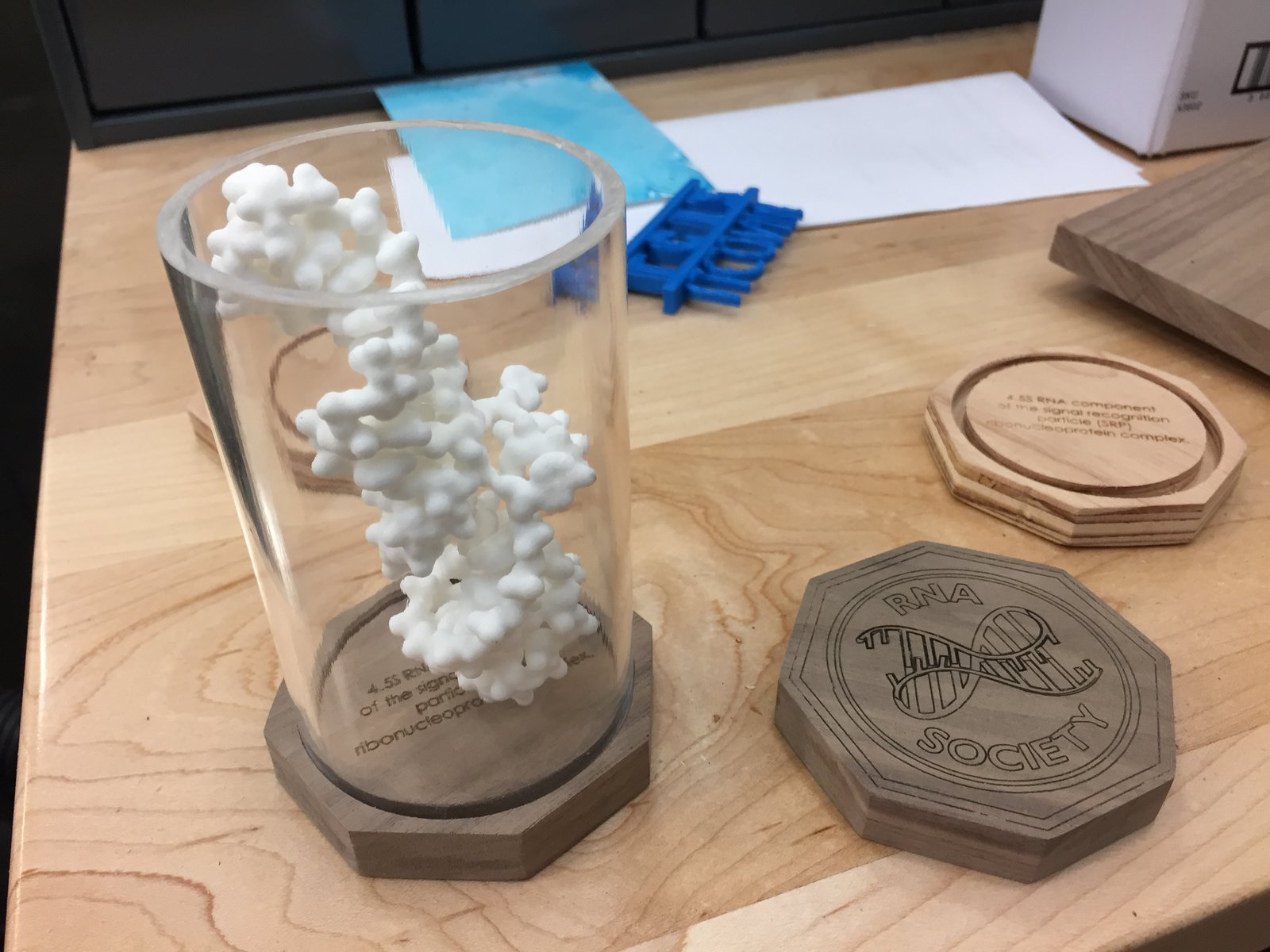 uconn rna society gift