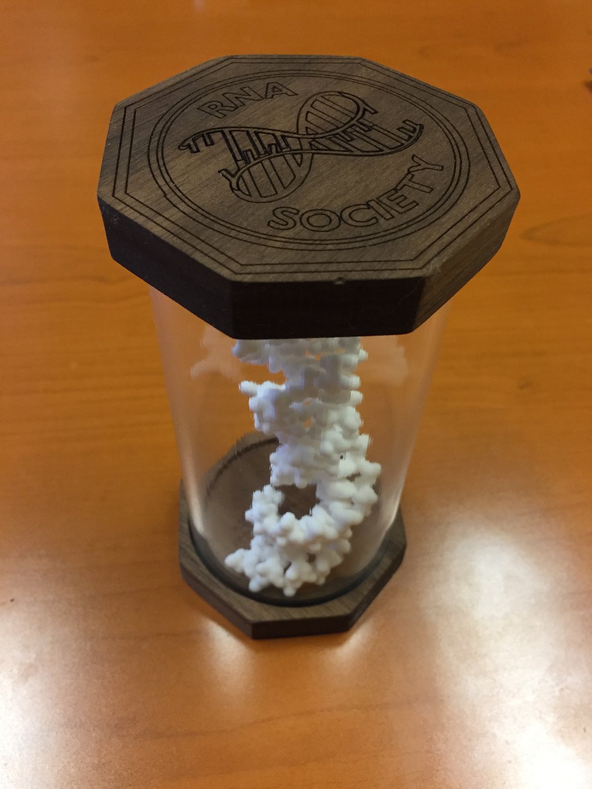 uconn rna society gift