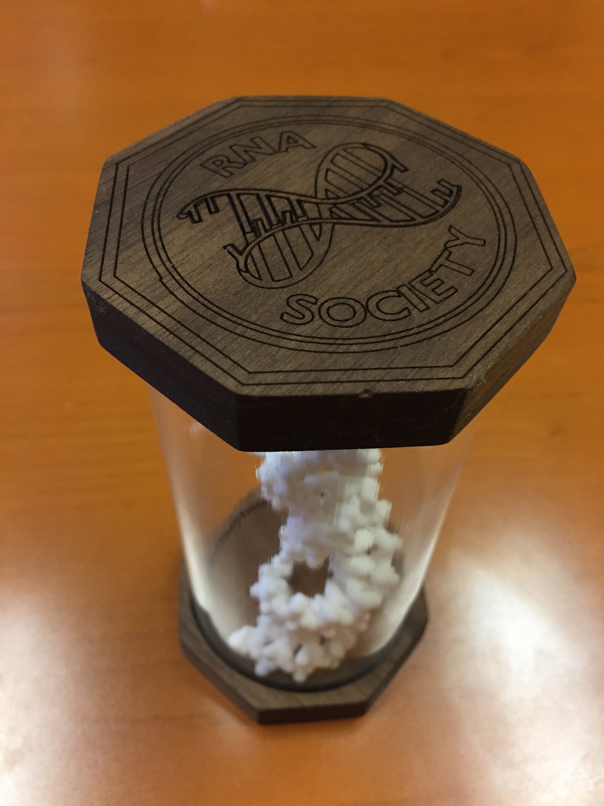 uconn rna society gift