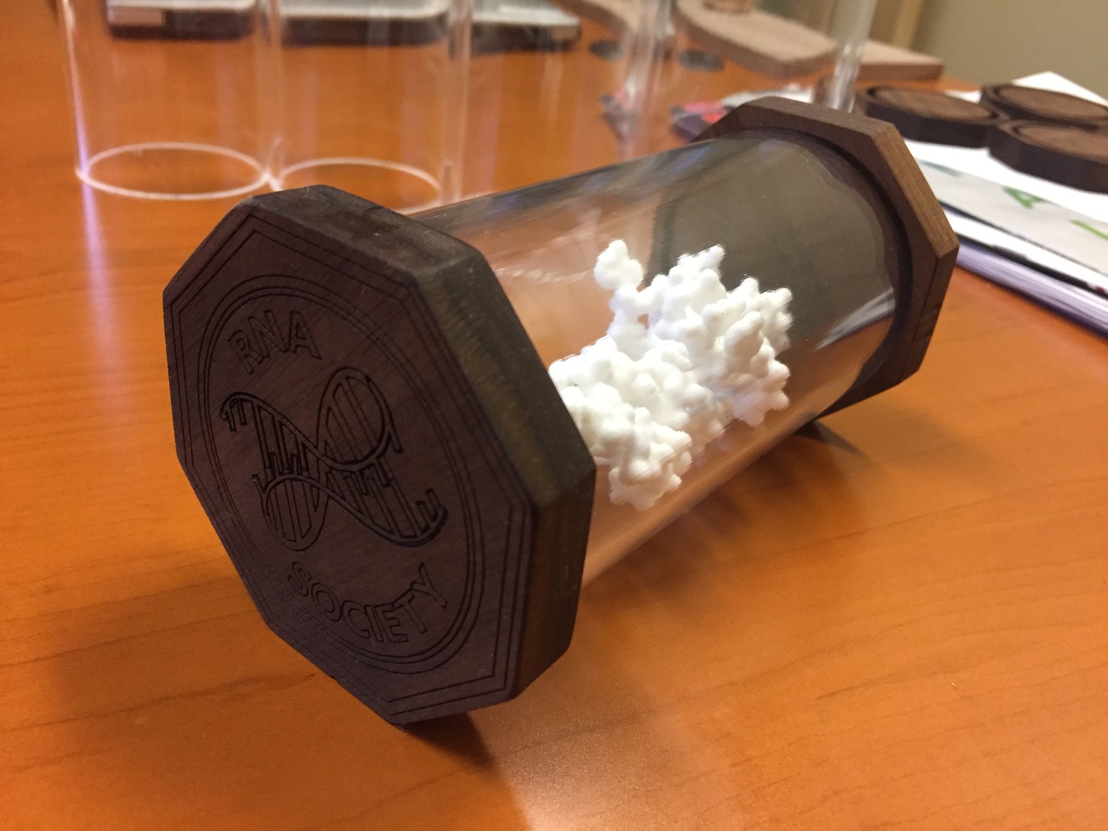 uconn rna society gift